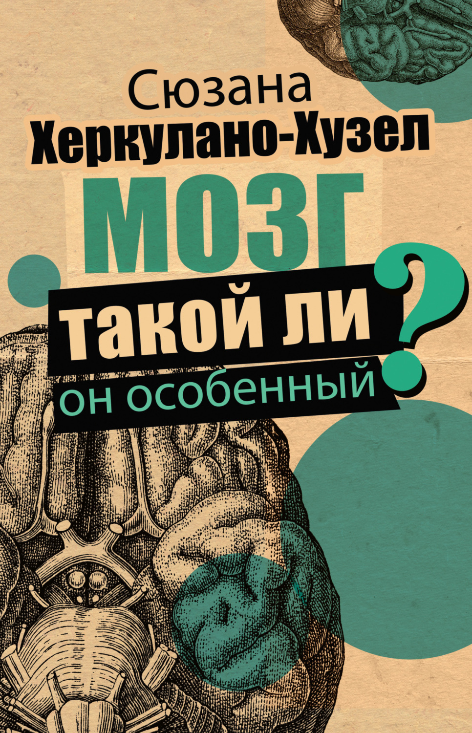 Обложка книги «Мозг. Такой ли он особенный?»