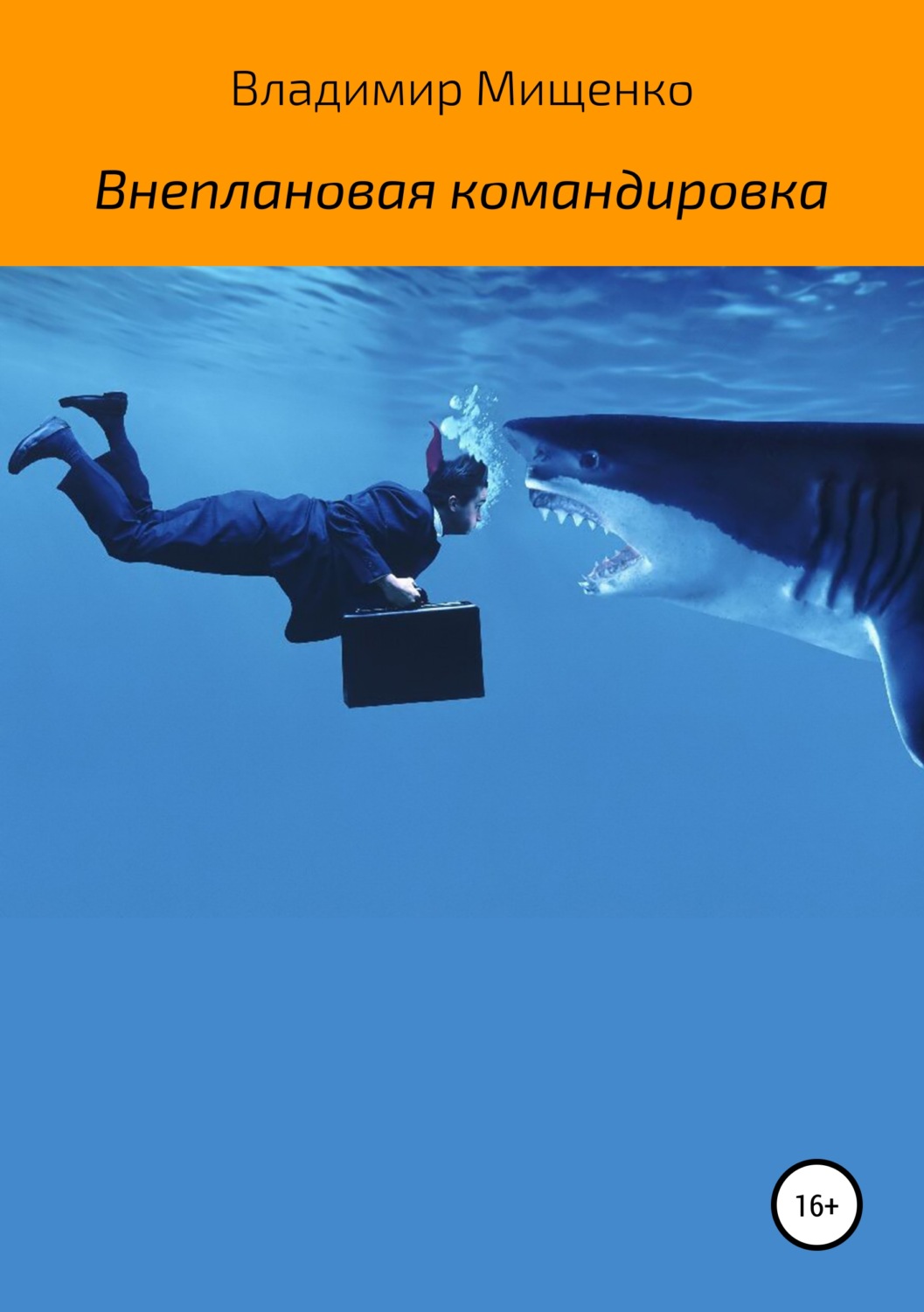 Обложка книги «Внеплановая командировка»