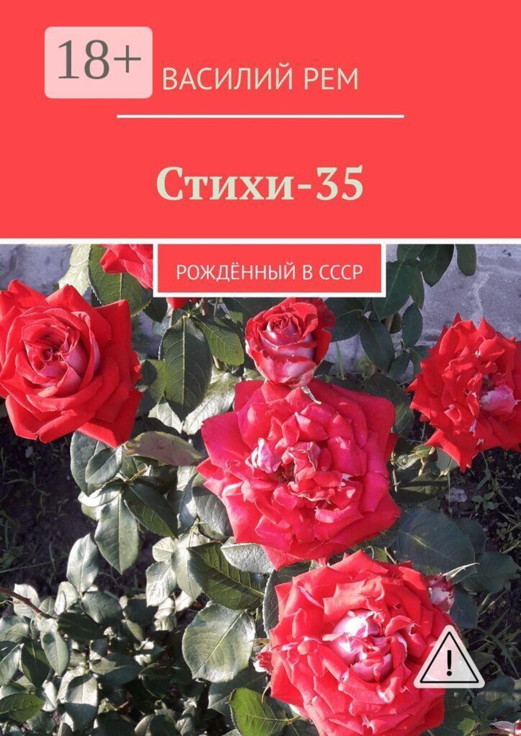 Обложка книги «Стихи-35. Рождённый в СССР»