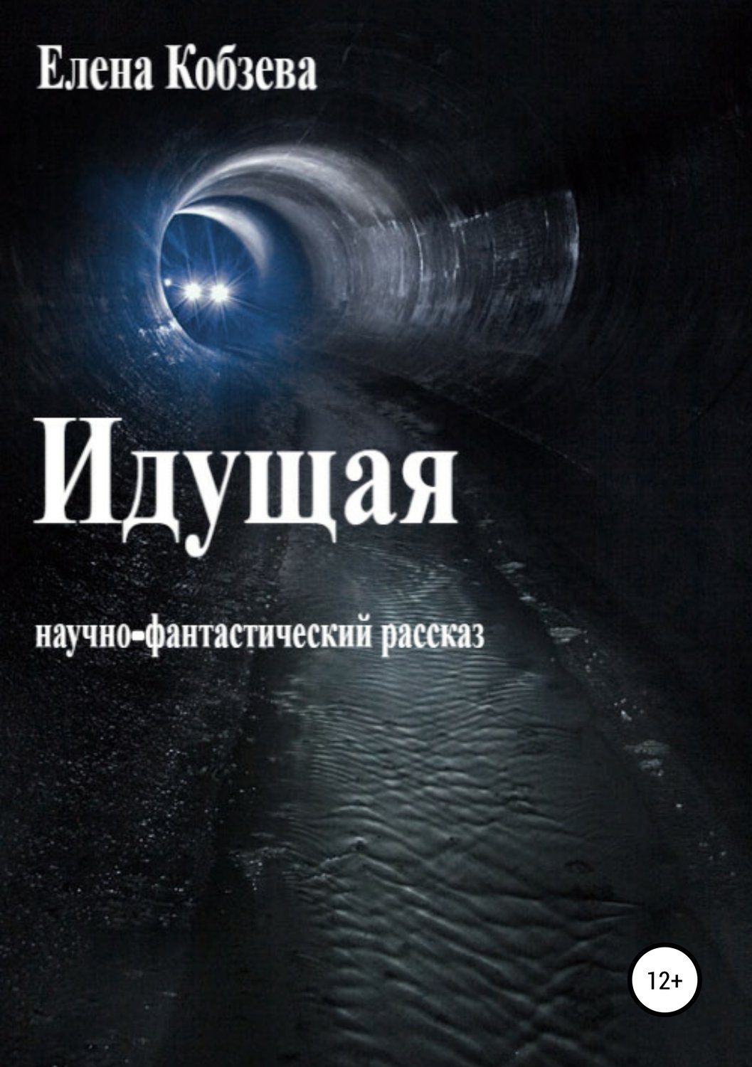 Обложка книги «Идущая»