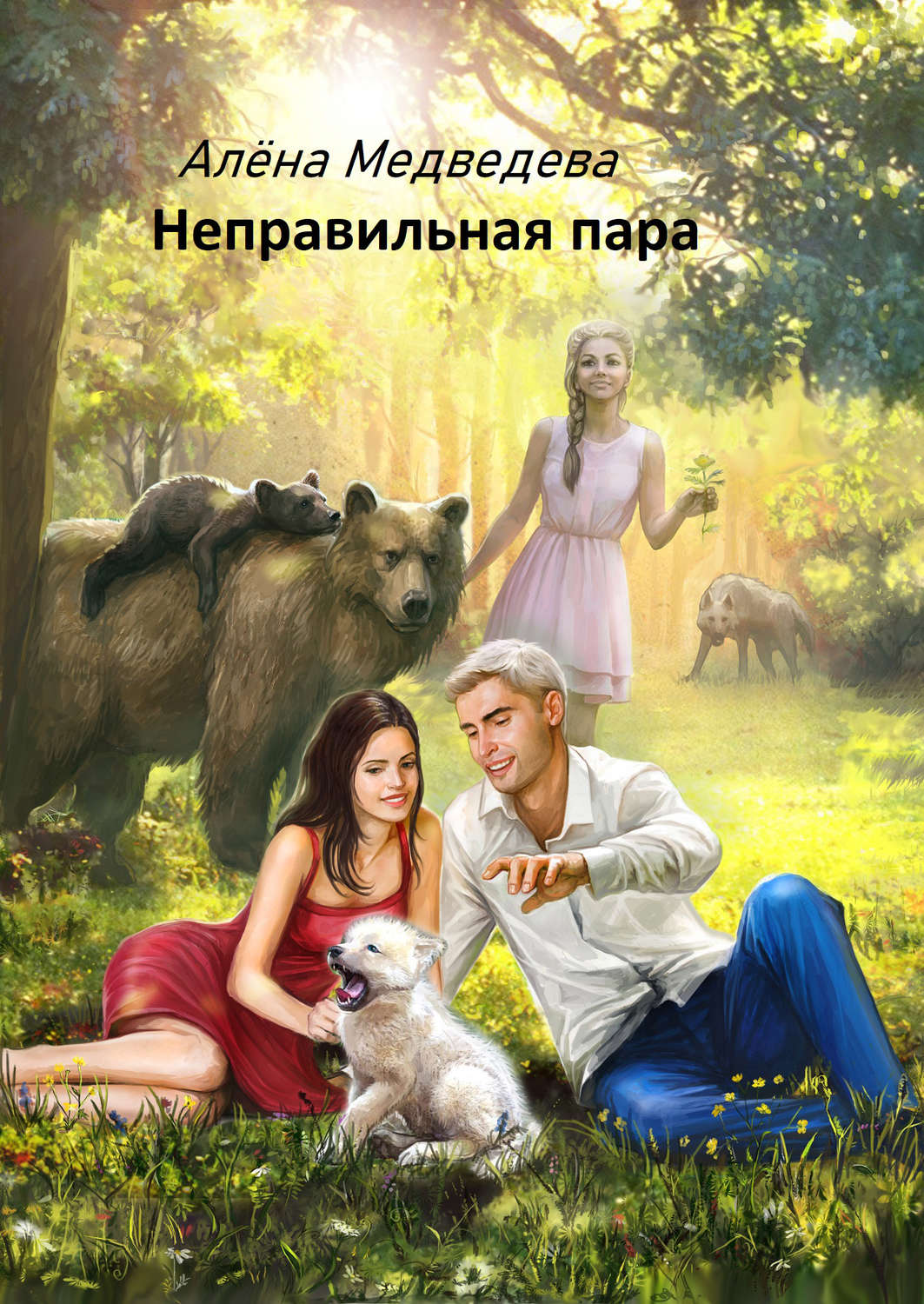 Обложка книги «Неправильная пара»