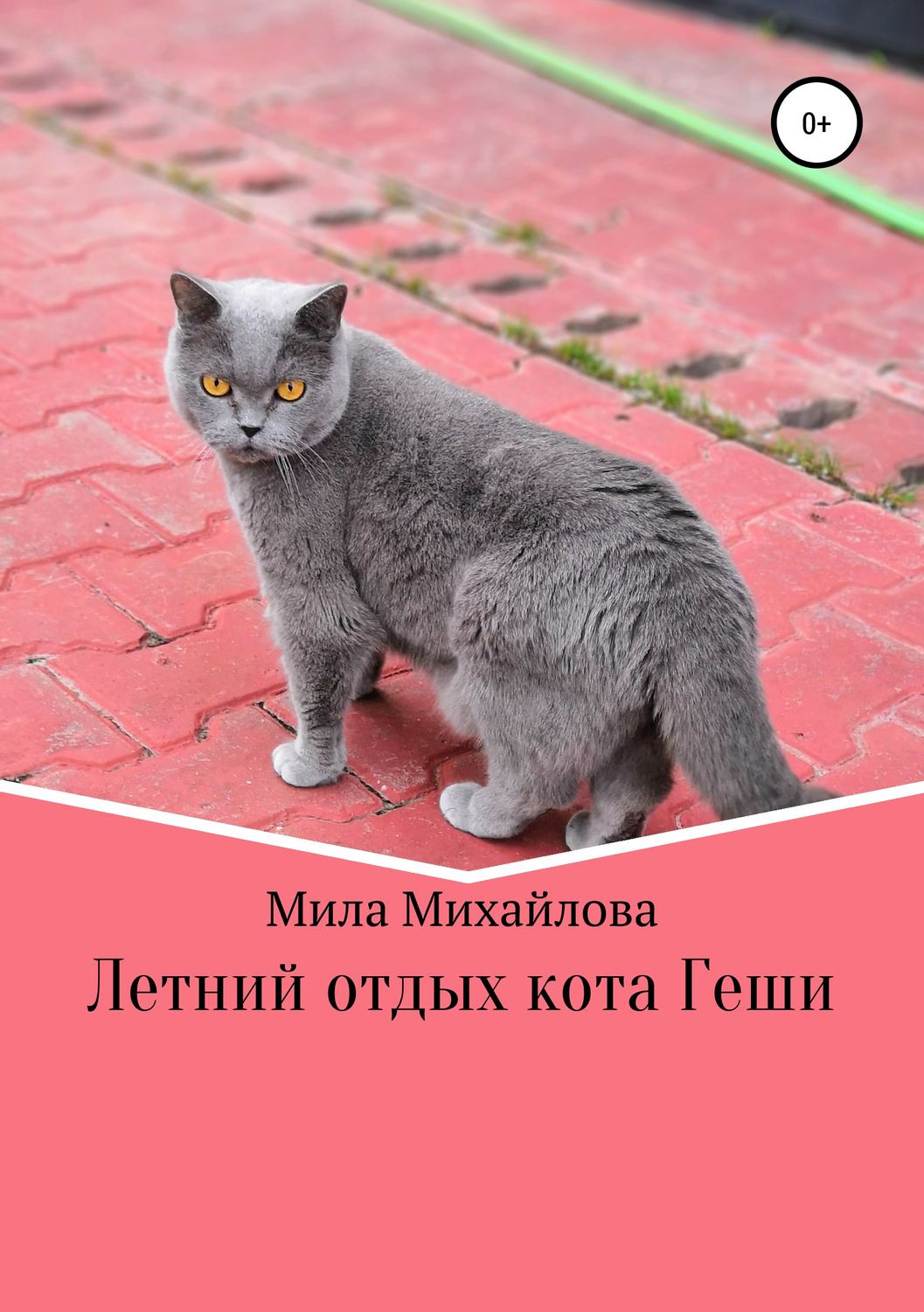 Обложка книги «Летний отдых кота Геши»