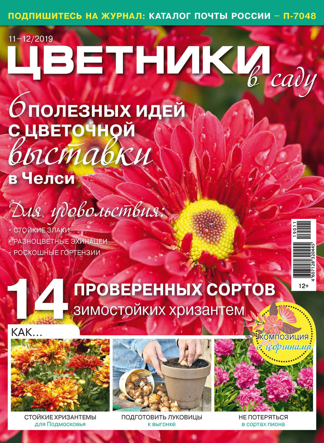 Обложка книги «Цветники в саду №11–12/2019»
