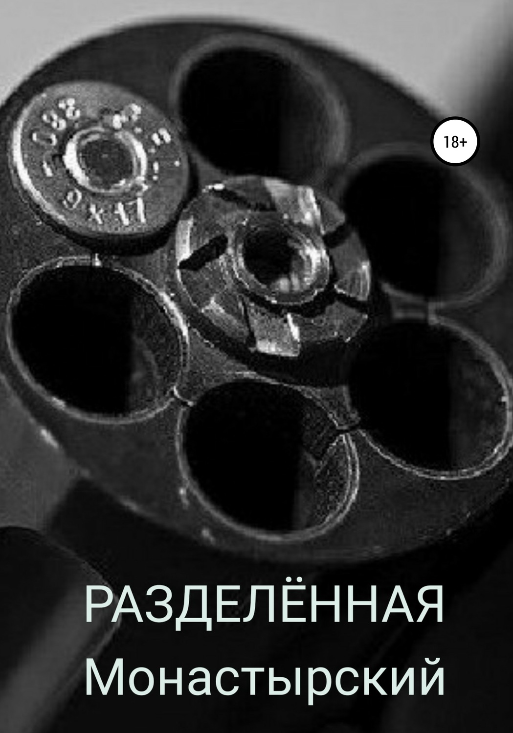 Обложка книги «Разделённая»