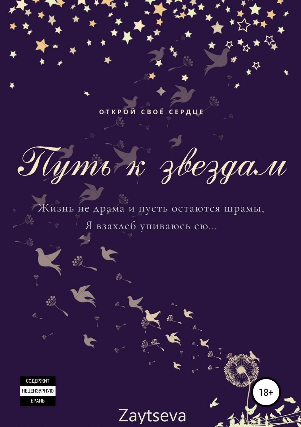 Обложка книги «Путь к звёздам»