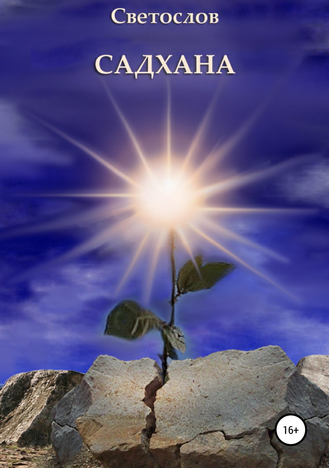 Обложка книги «Садхана»