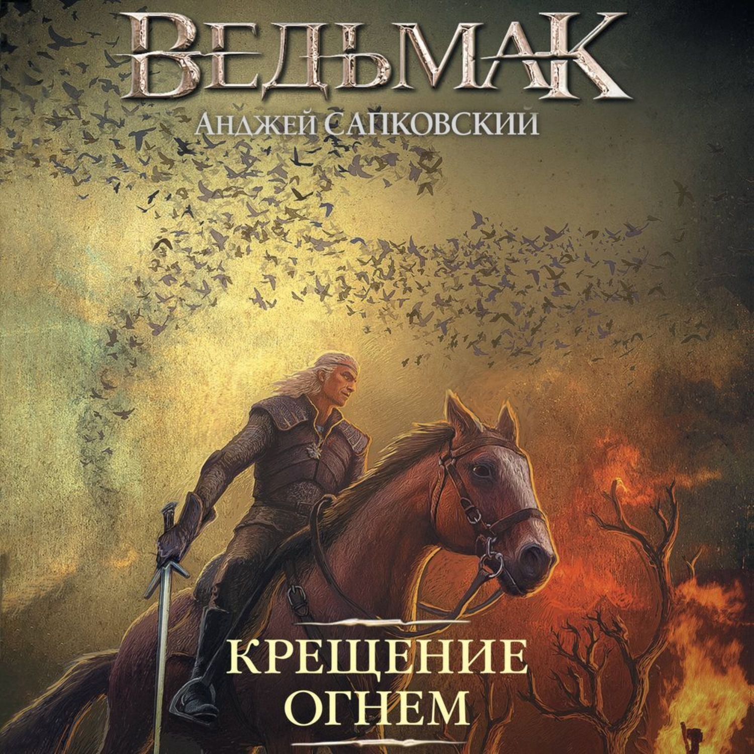 Обложка книги «Крещение огнем»