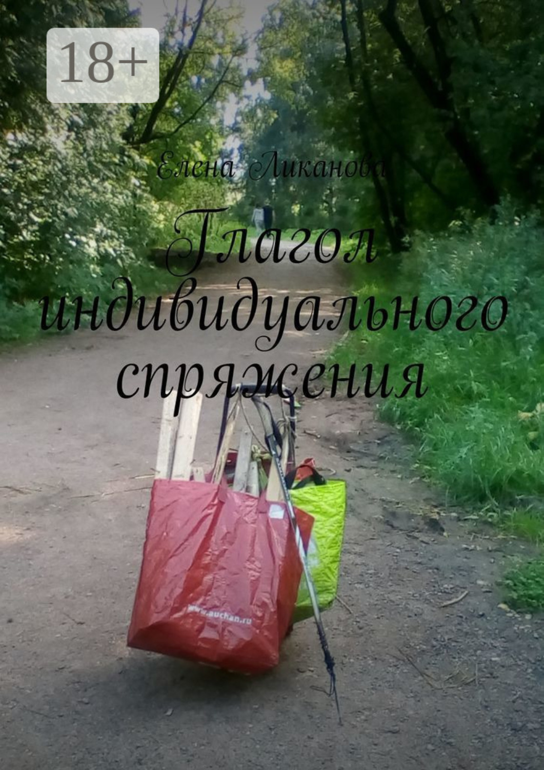 Обложка книги «Глагол индивидуального спряжения»