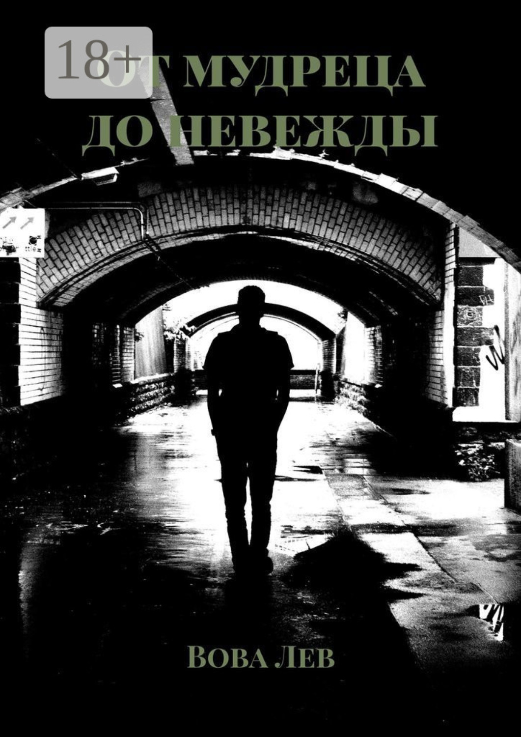 Обложка книги «От мудреца до невежды»