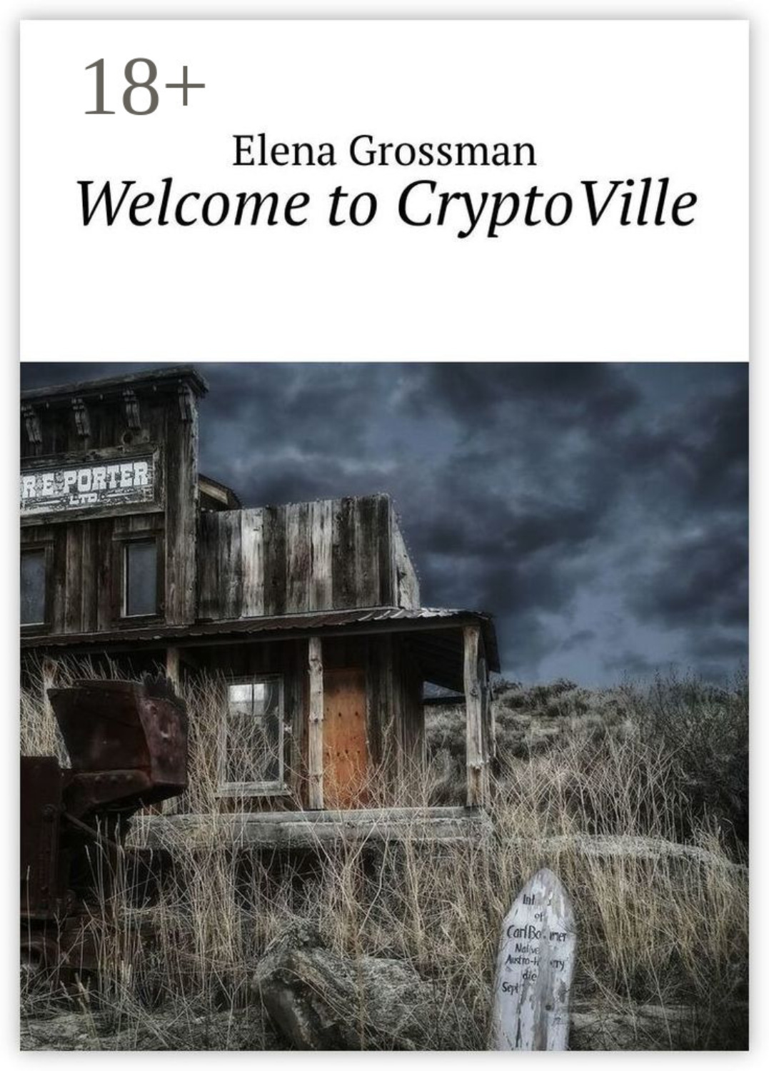 Обложка книги «Welcome to CryptoVille»