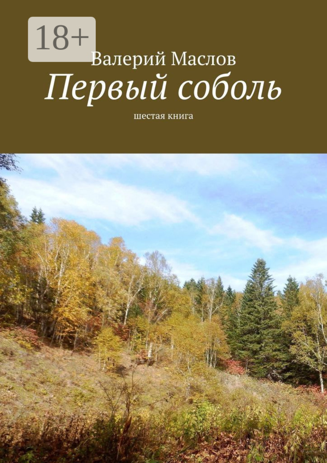 Обложка книги «Первый соболь. Шестая книга»