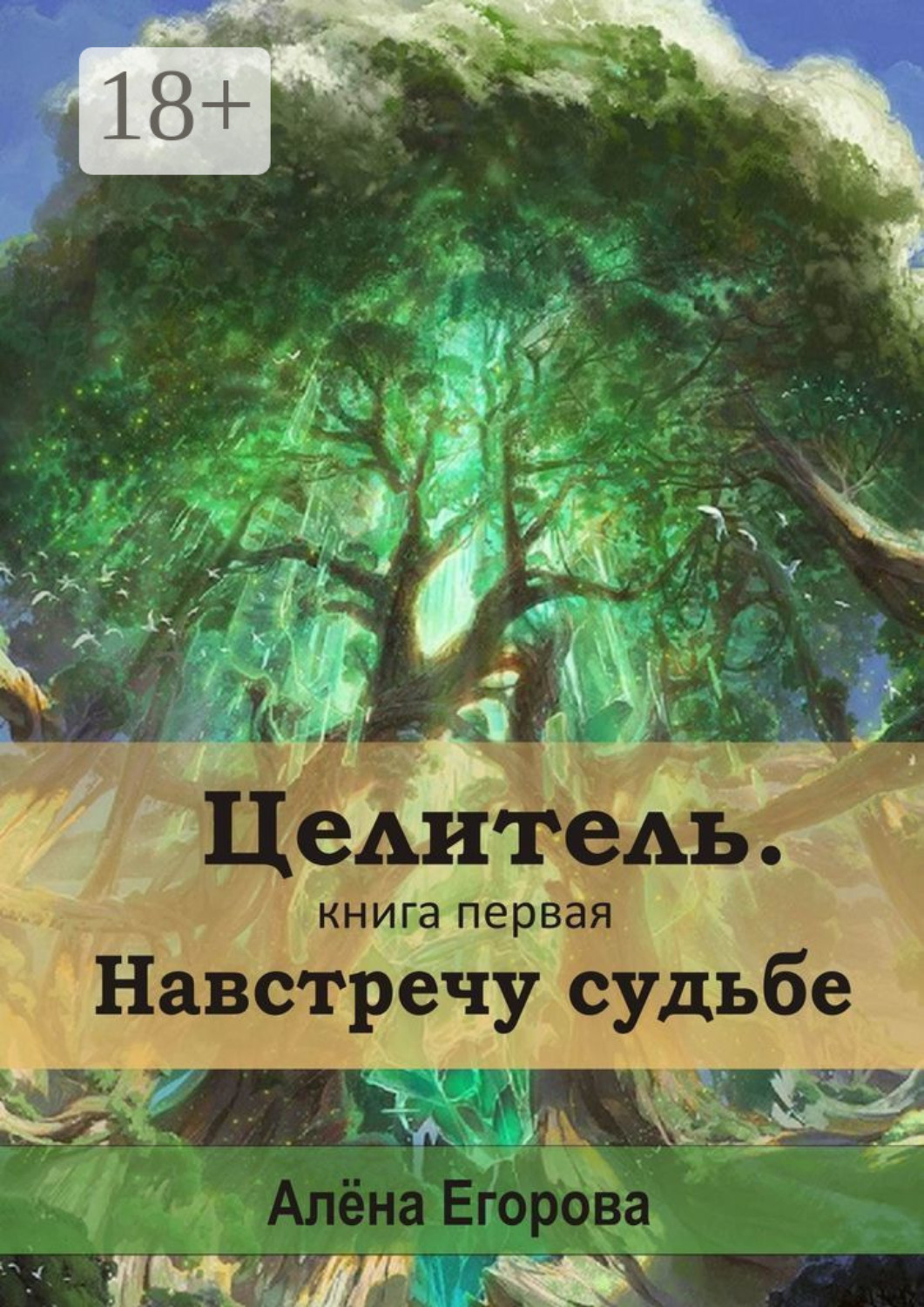 Обложка книги «Целитель. Навстречу судьбе. Книга первая»