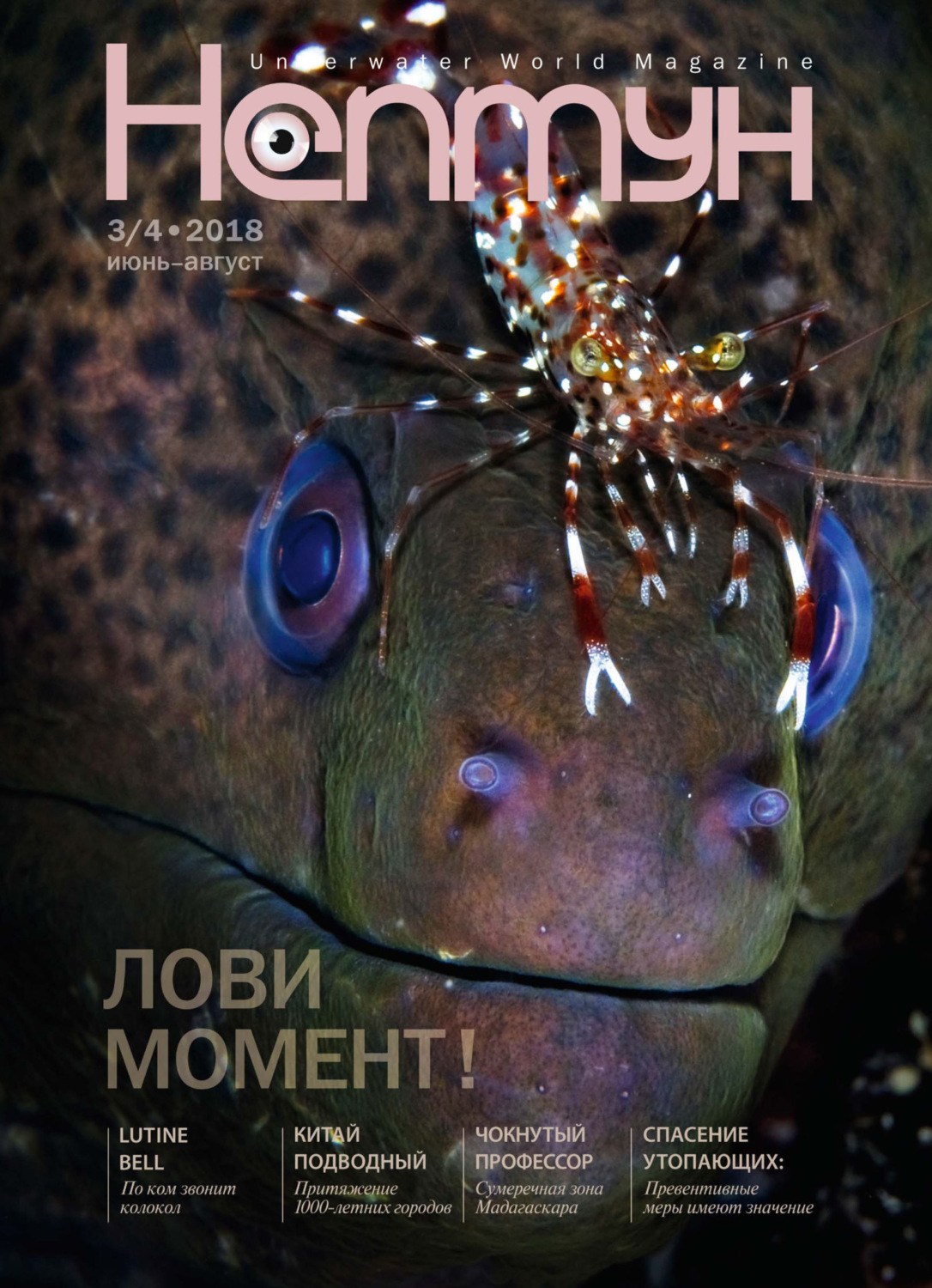 Обложка книги «Нептун №3-4/2018»