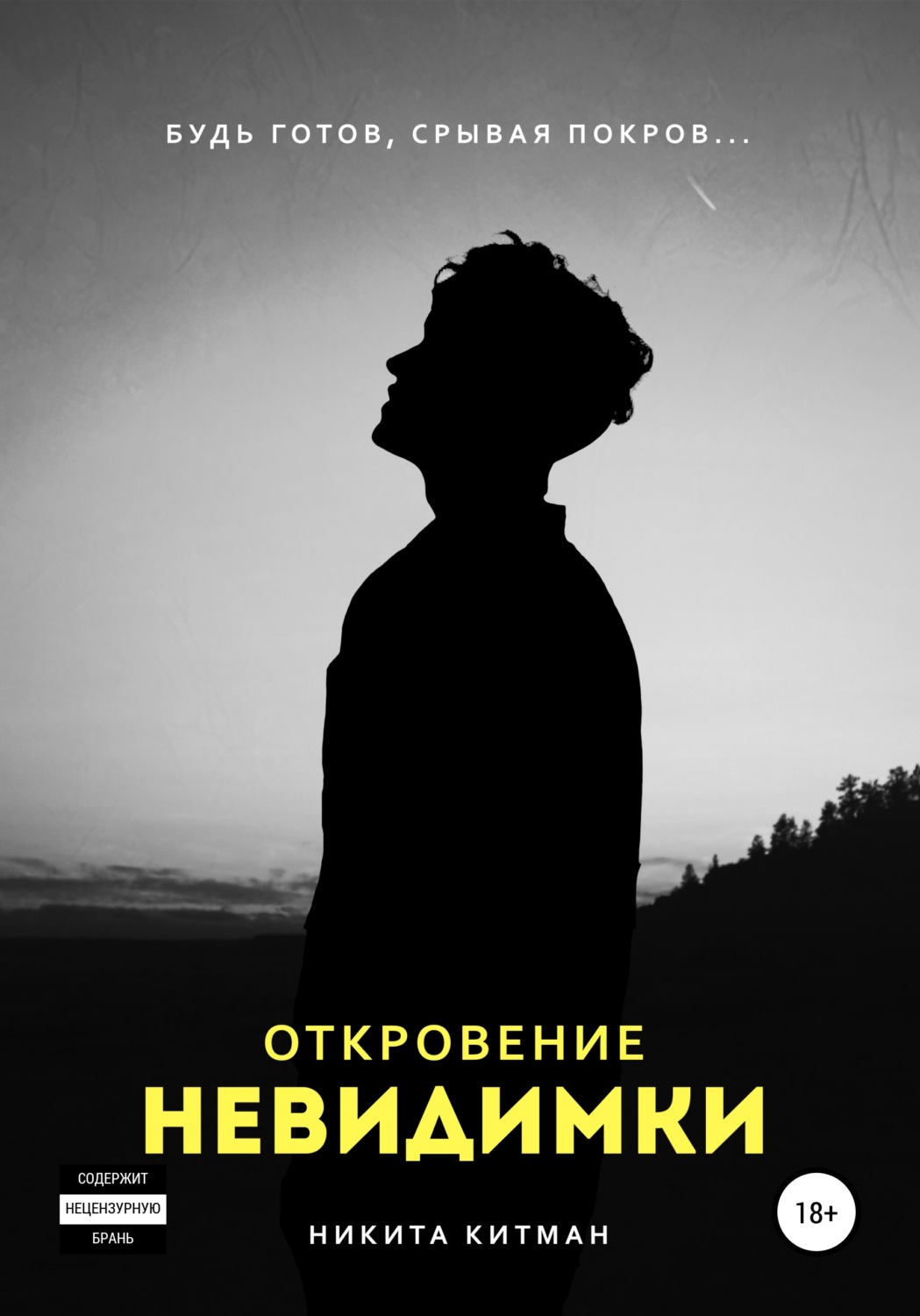 Обложка книги «Откровение невидимки»