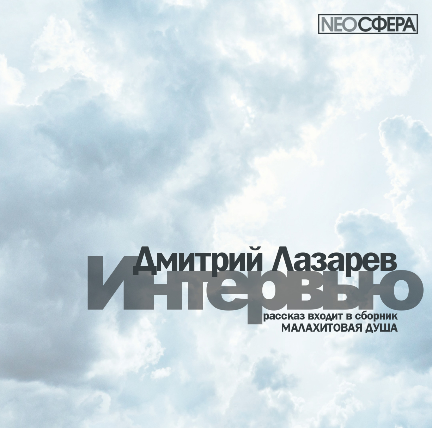 Обложка книги «Интервью»