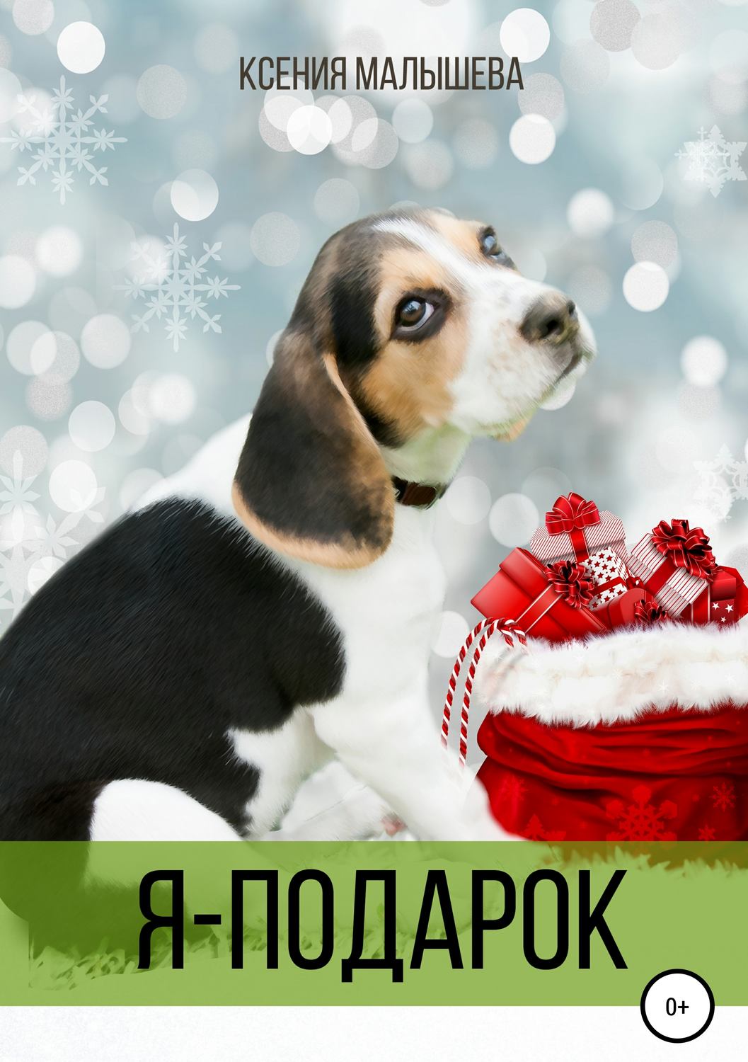 Обложка книги «Я – подарок»