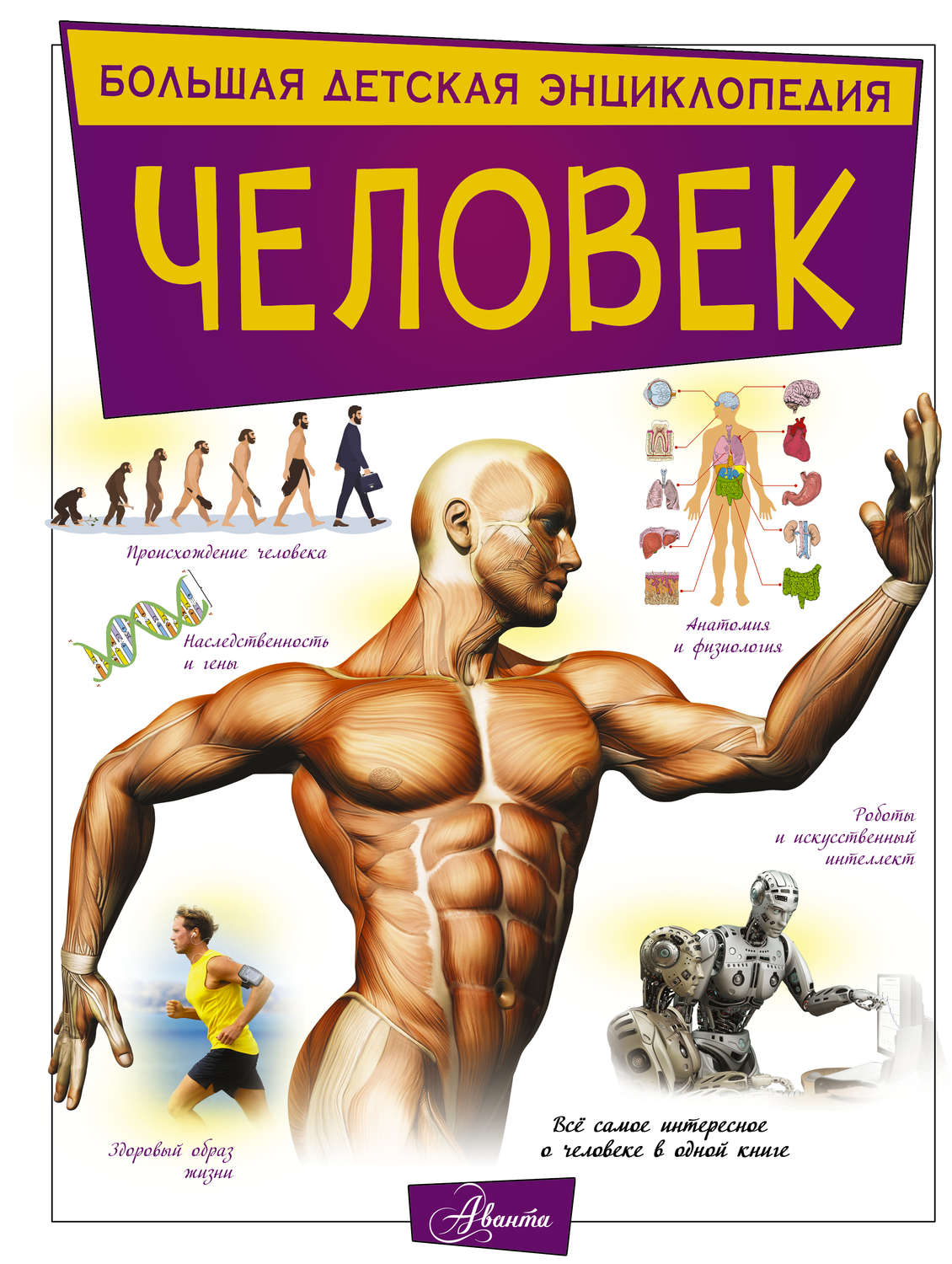 Обложка книги «Человек»