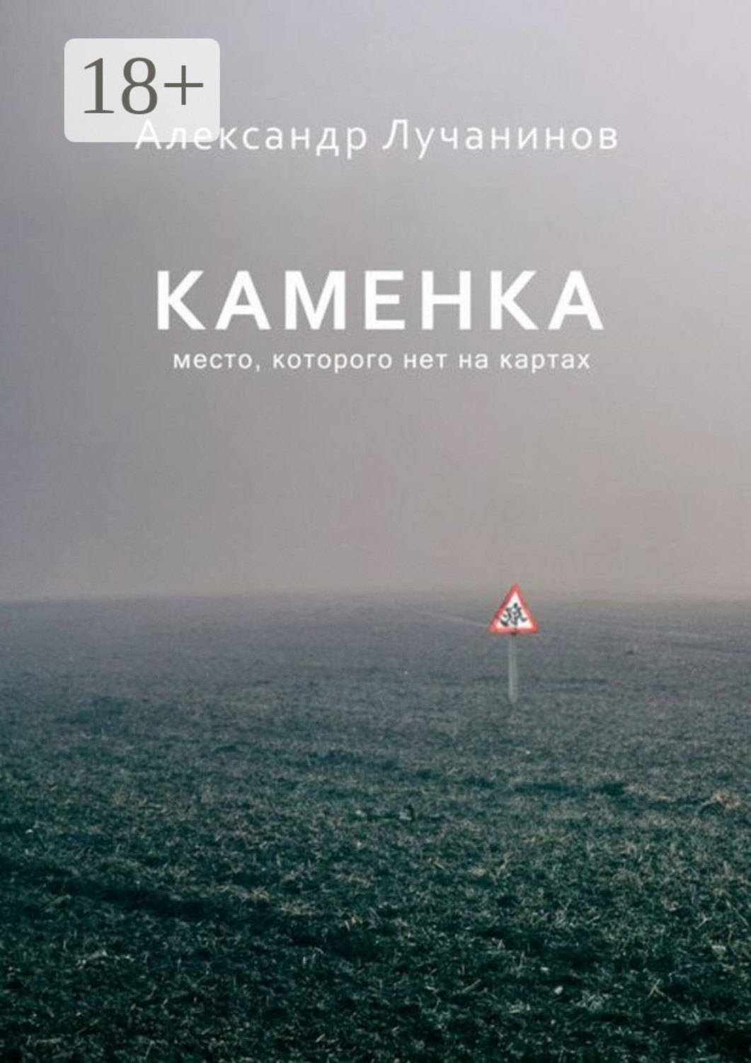 Обложка книги «Каменка»