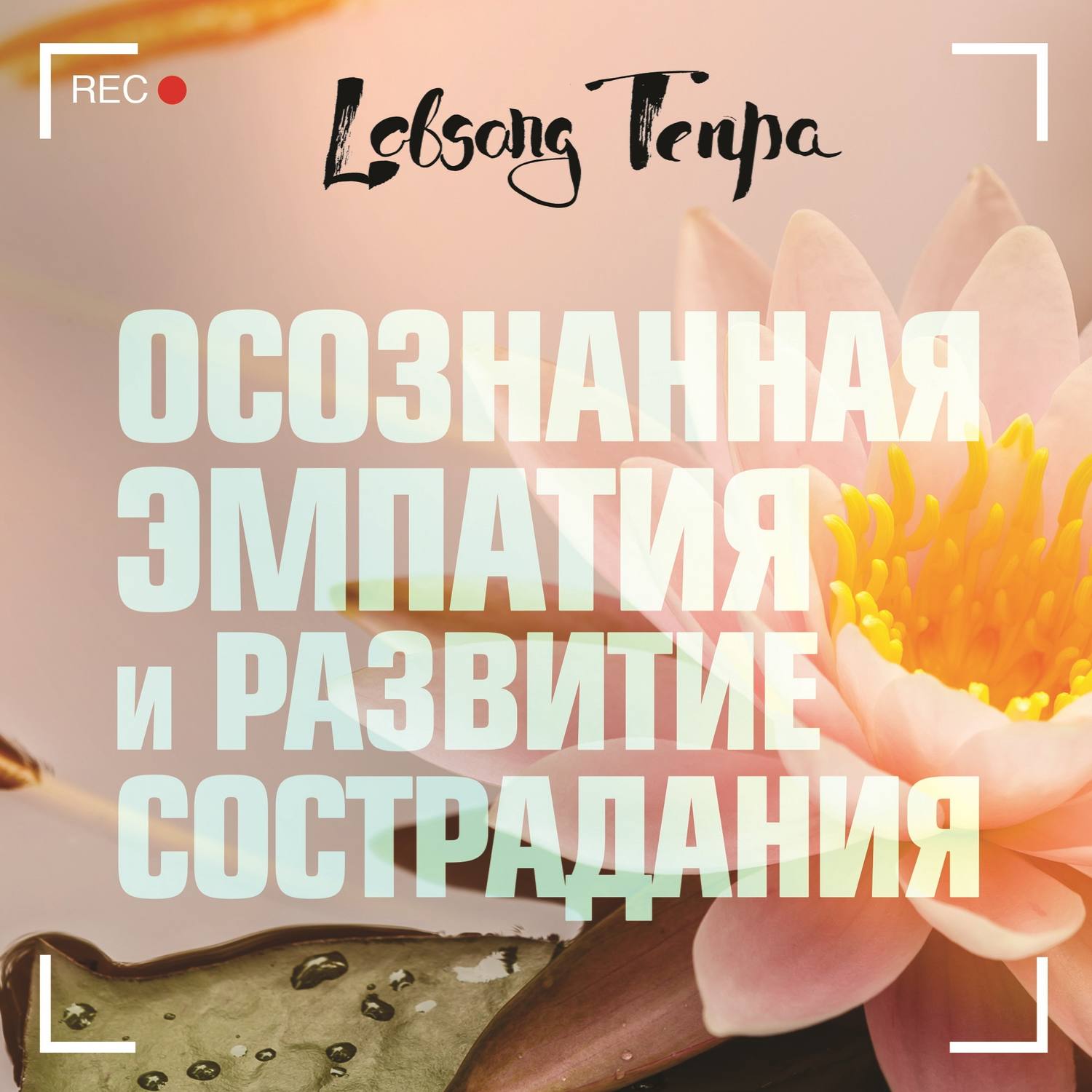 Обложка книги «Осознанная эмпатия и развитие сострадания»