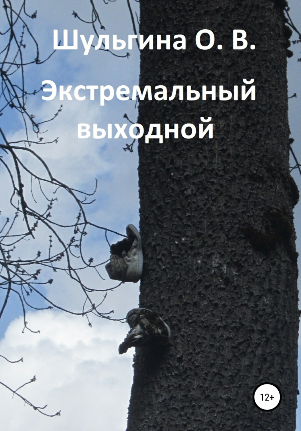 Обложка книги «Экстремальный выходной»