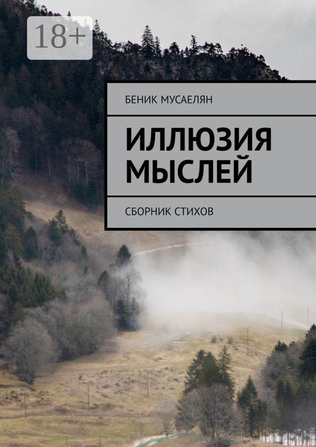 Обложка книги «Иллюзия мыслей. Сборник стихов»
