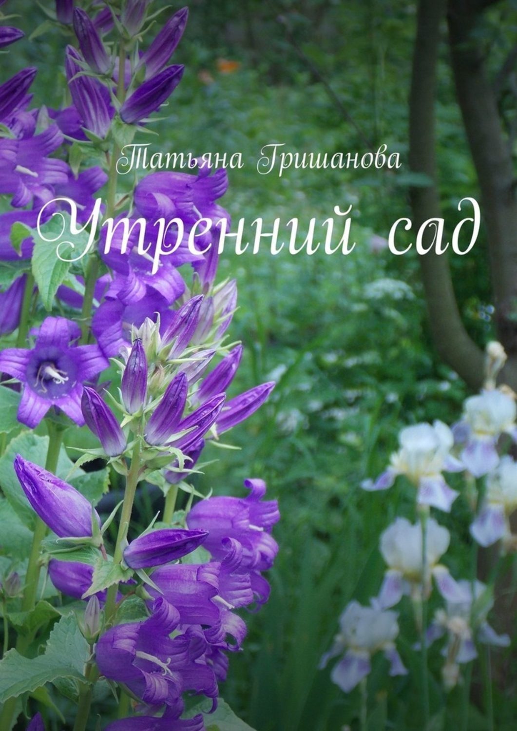 Обложка книги «Утренний сад»