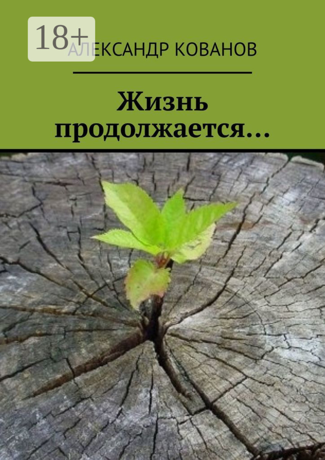 Обложка книги «Жизнь продолжается…»