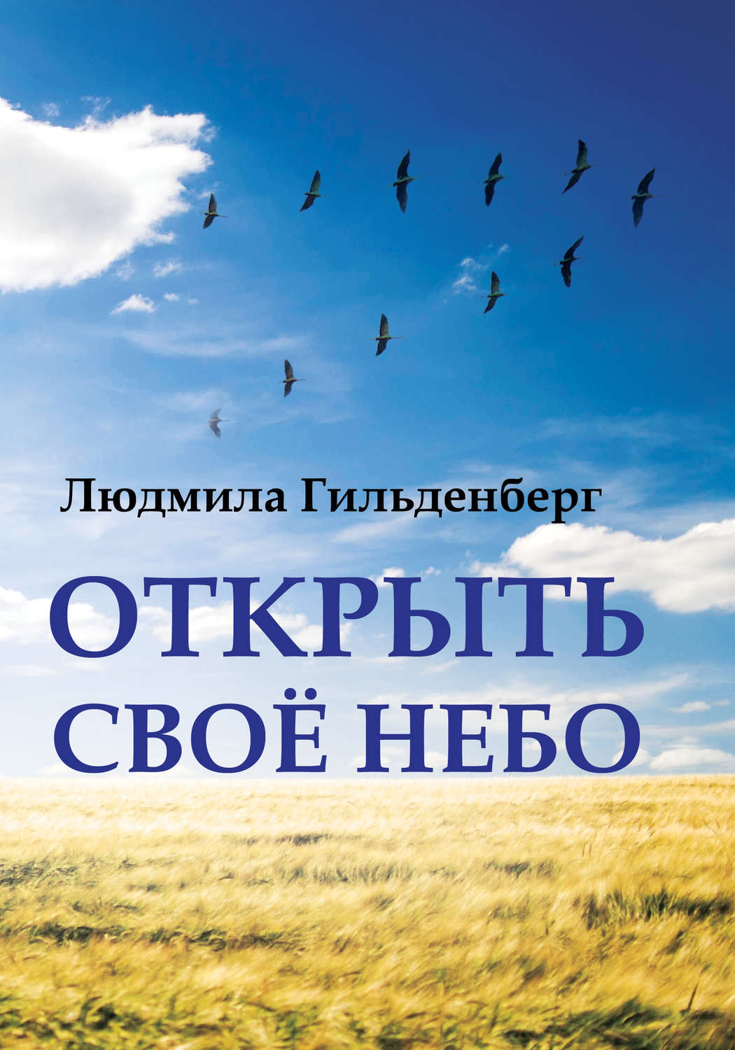 Обложка книги «Открыть своё небо»