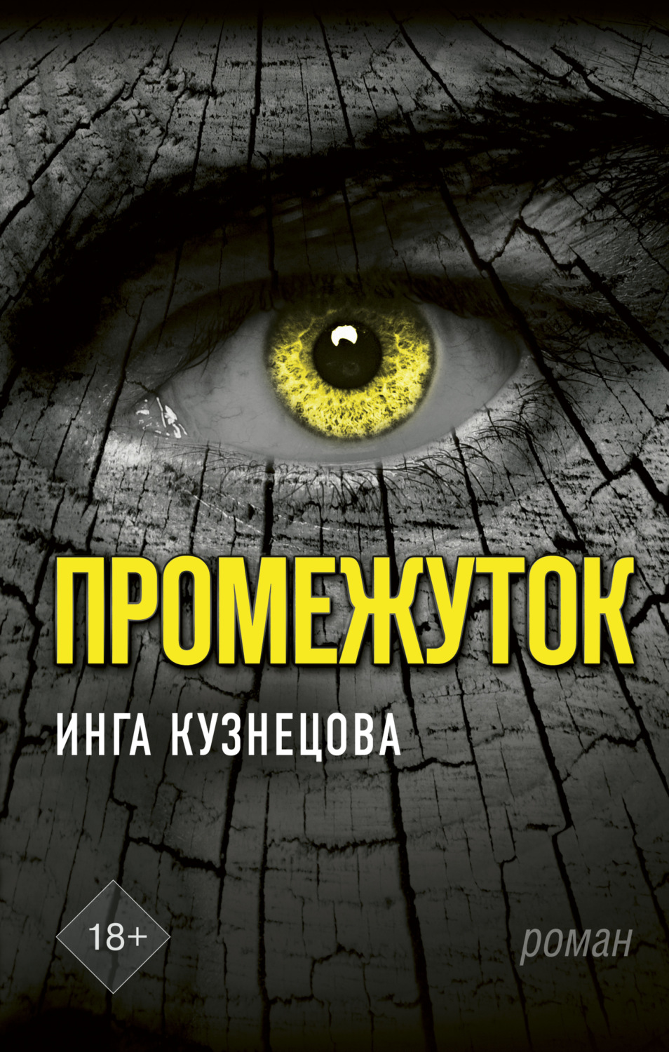 Обложка книги «Промежуток»