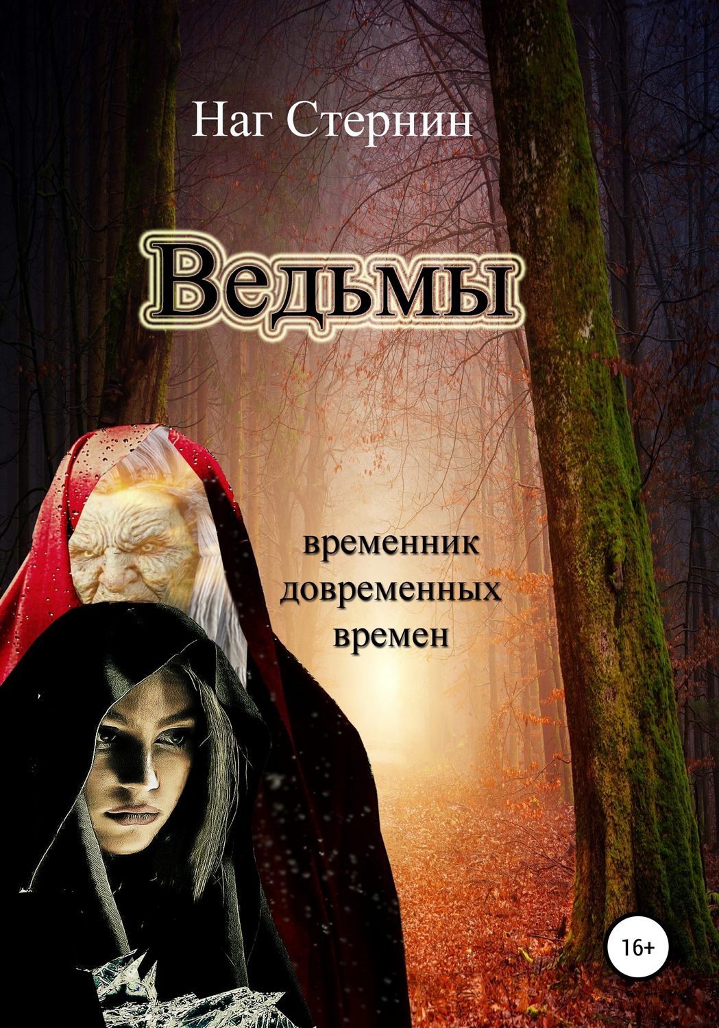 Обложка книги «Ведьмы»