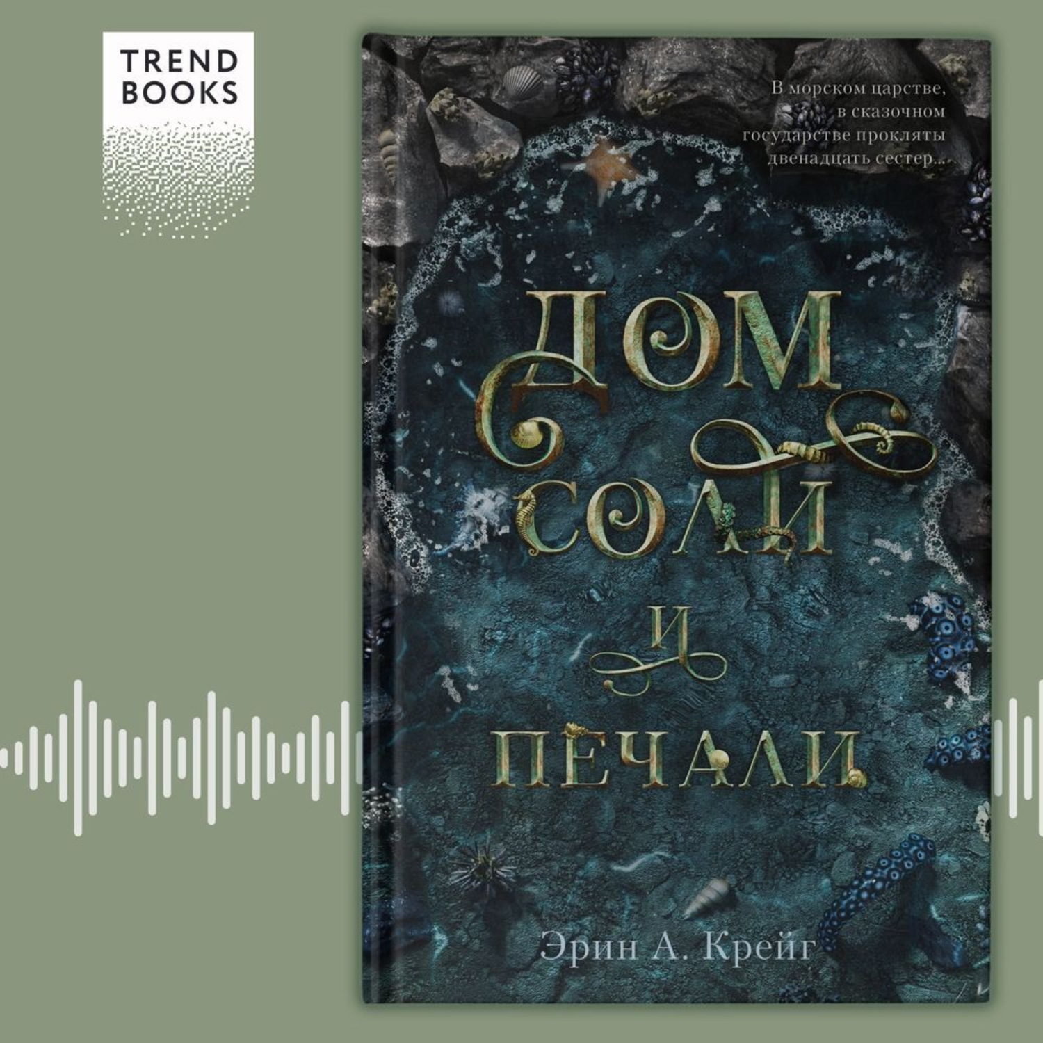 Обложка книги «Дом соли и печали»