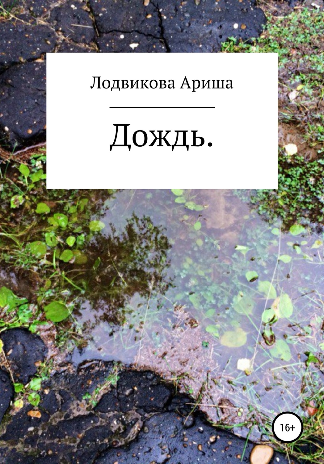 Обложка книги «Дождь»