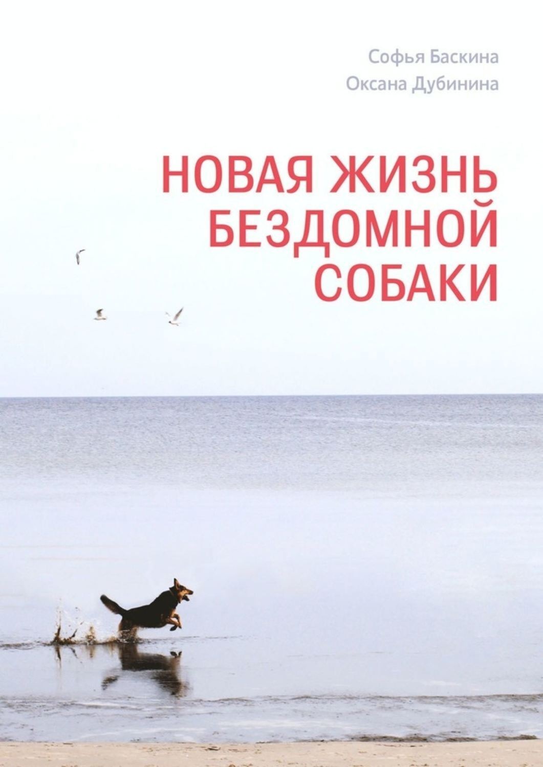 Обложка книги «Новая жизнь бездомной собаки»