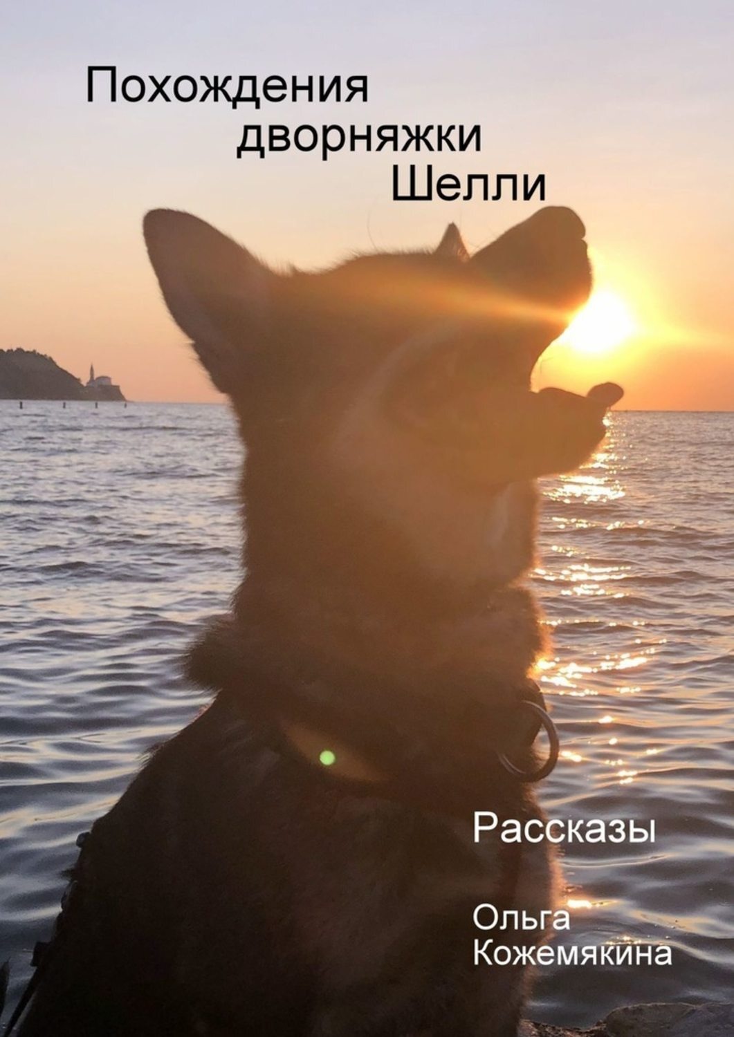 Обложка книги «Похождения дворняжки Шелли. Рассказы»