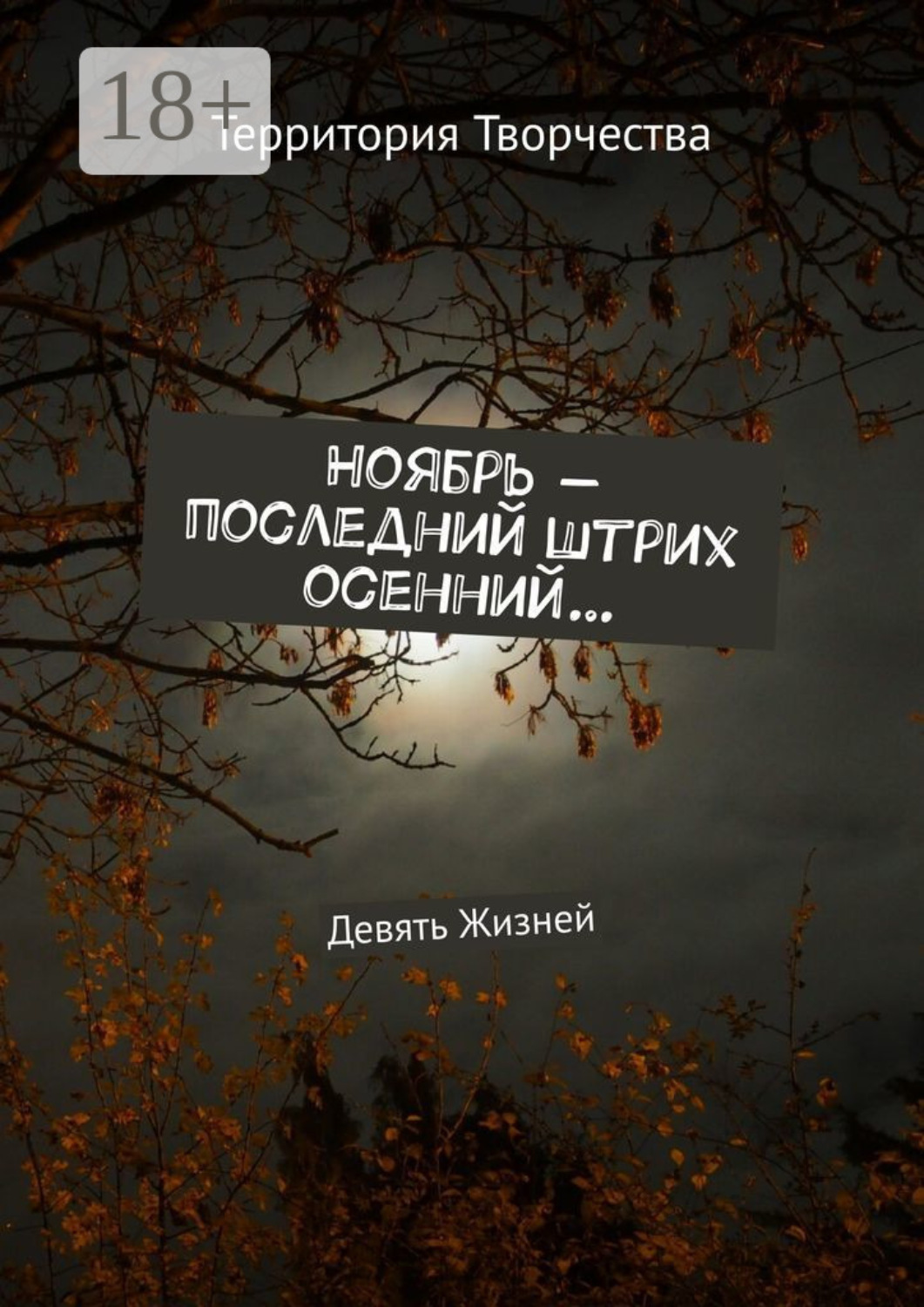 Обложка книги «Ноябрь – последний штрих осенний… Девять Жизней»