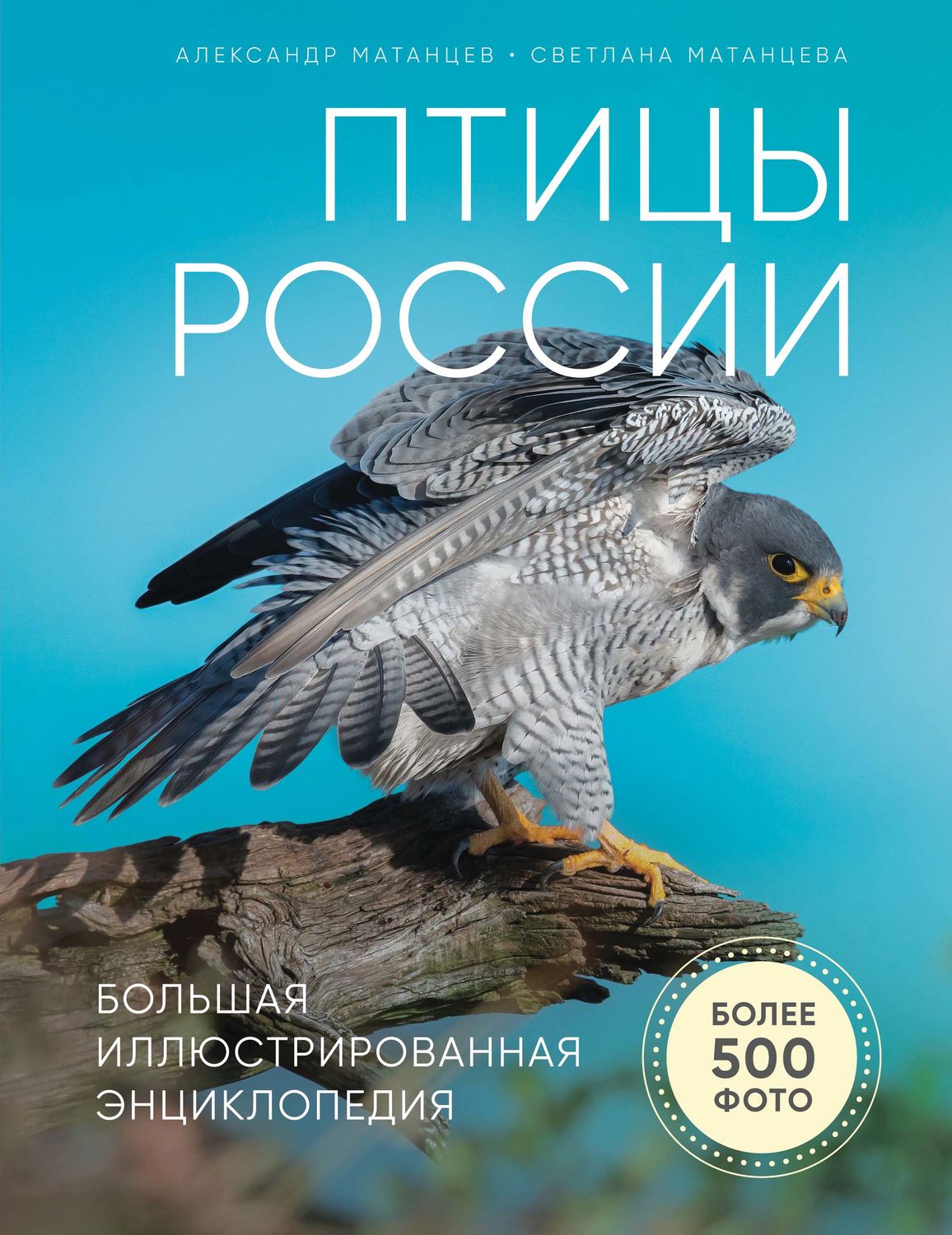 Обложка книги «Птицы России. Большая иллюстрированная энциклопедия»