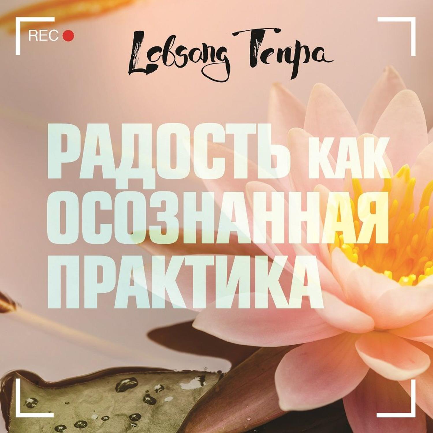 Обложка книги «Радость как осознанная практика»
