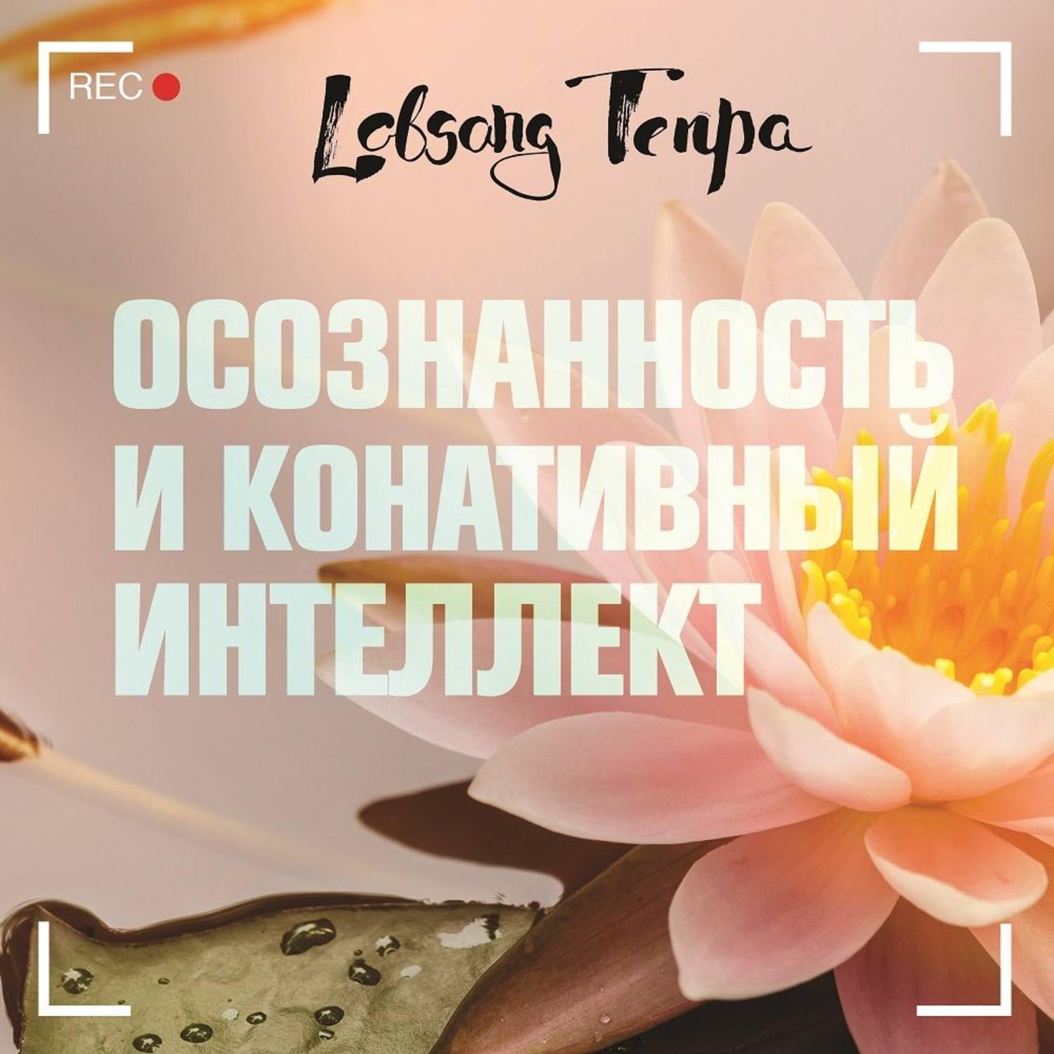 Обложка книги «Осознанность и конативный интеллект»
