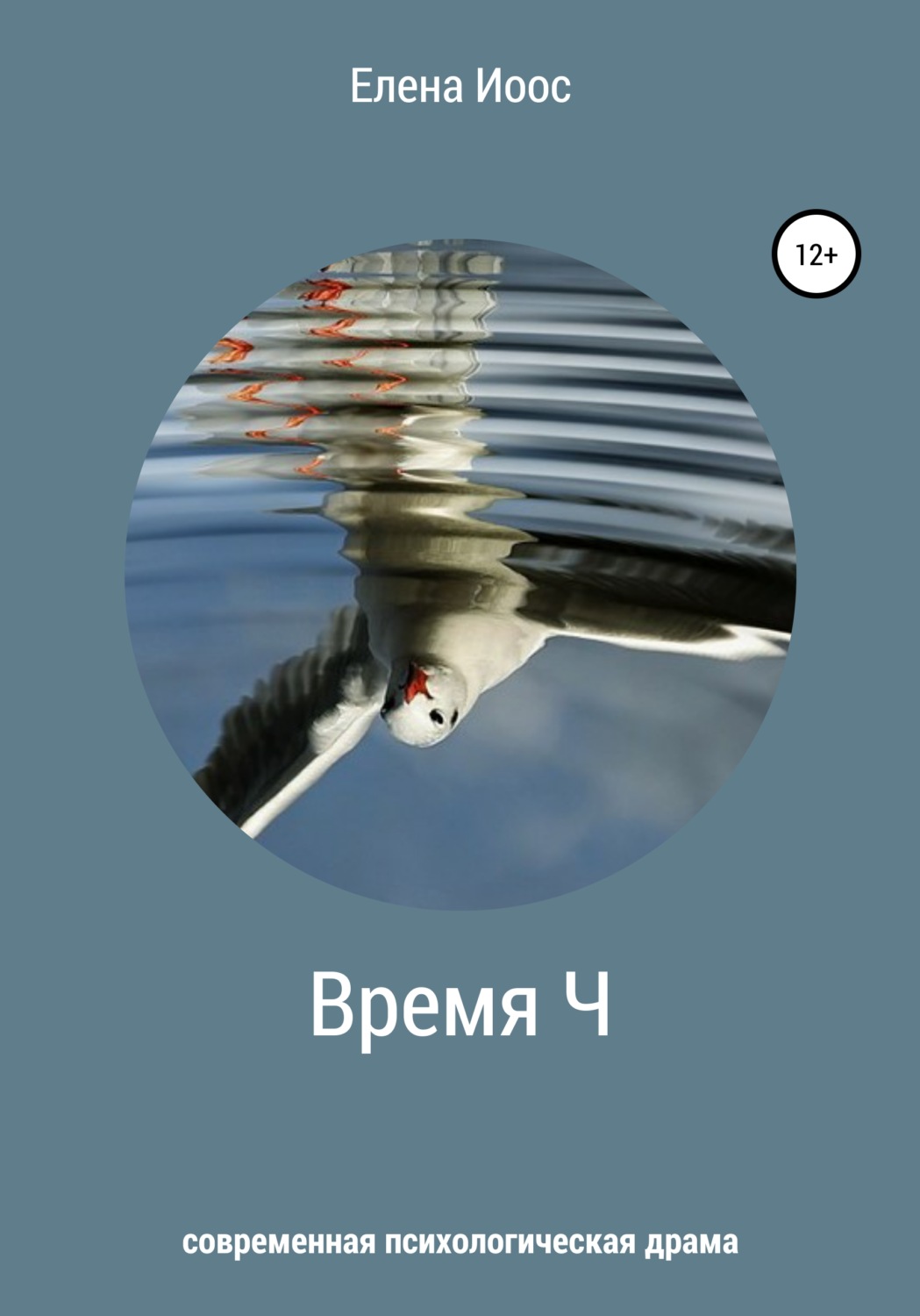 Обложка книги «Время Ч»