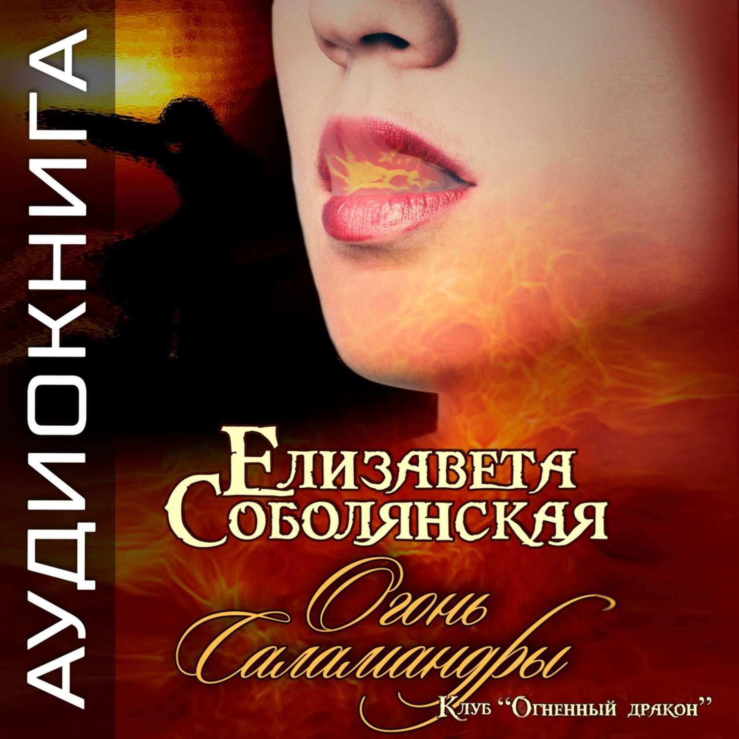Обложка книги «Огонь саламандры»