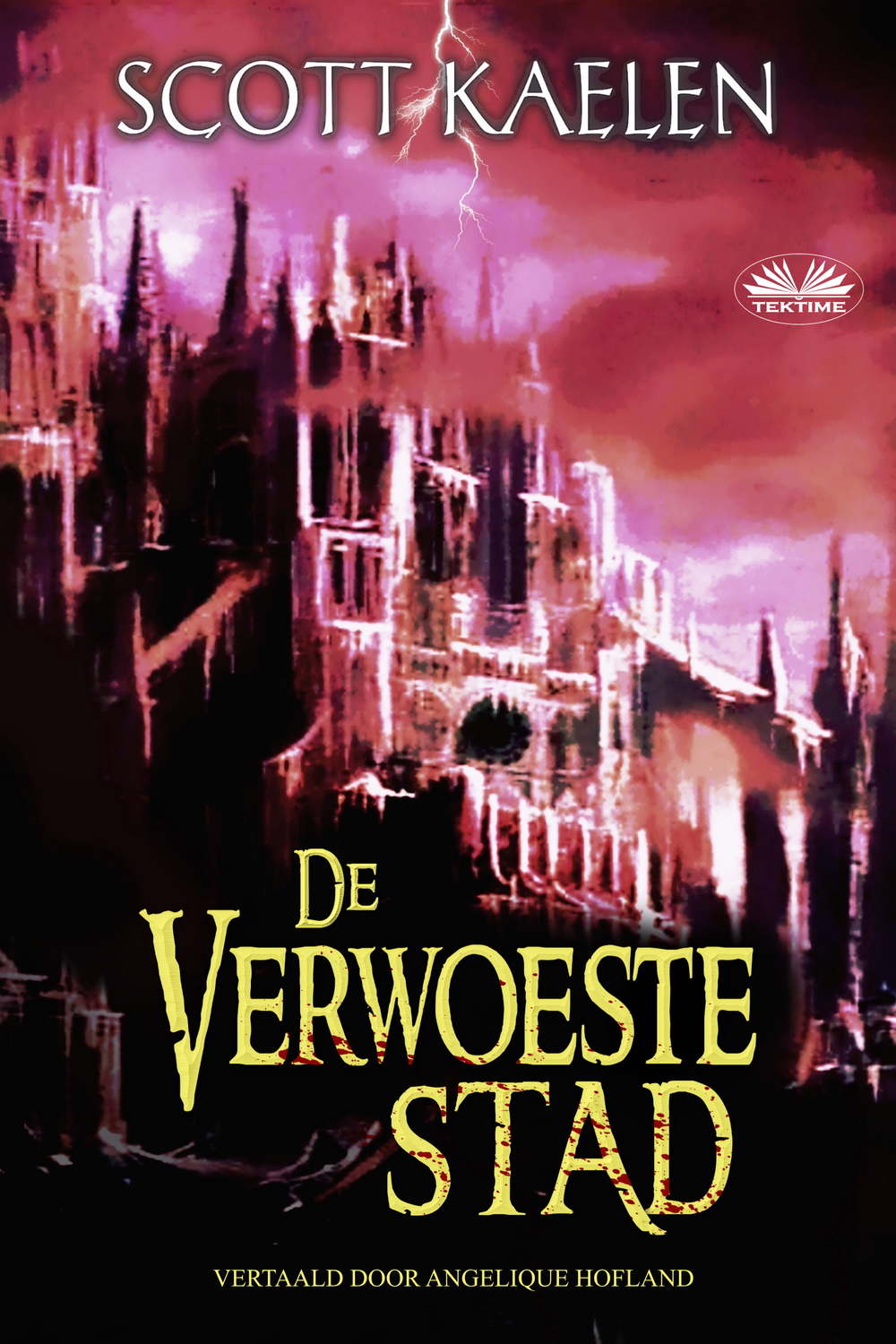 Обложка книги «De Verwoeste Stad»
