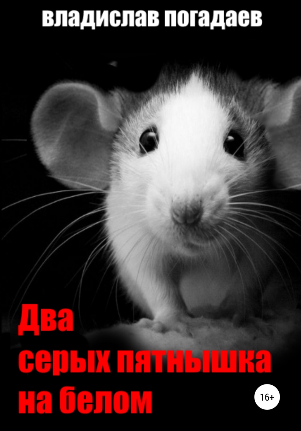 Обложка книги «Два серых пятнышка на белом»