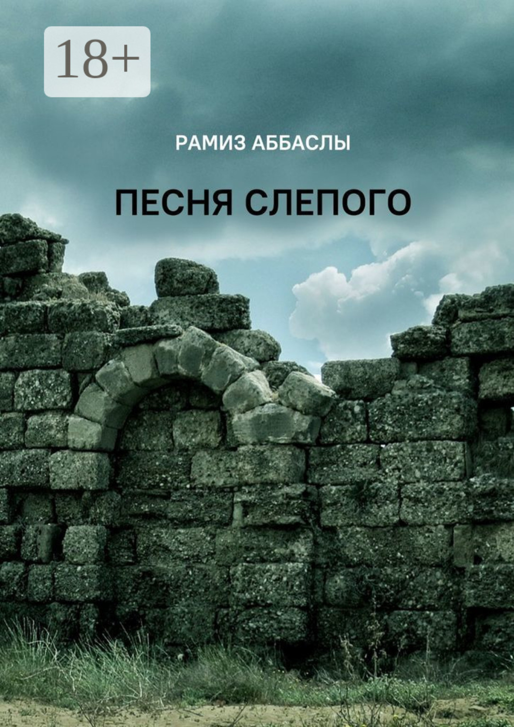 Обложка книги «Песня слепого»