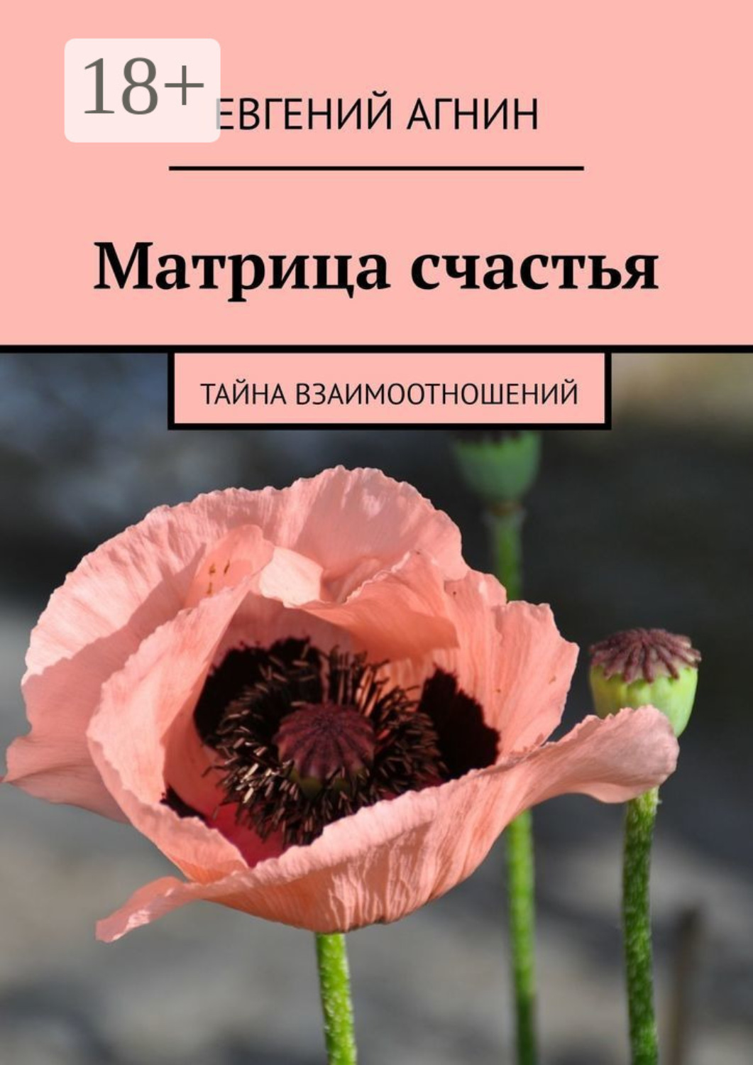 Обложка книги «Матрица счастья. Тайна взаимоотношений»