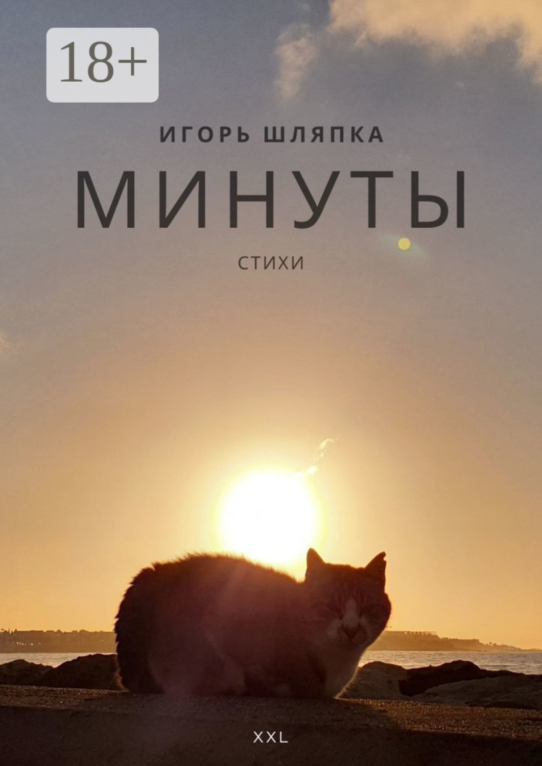 Обложка книги «Минуты жизни. Стихи»