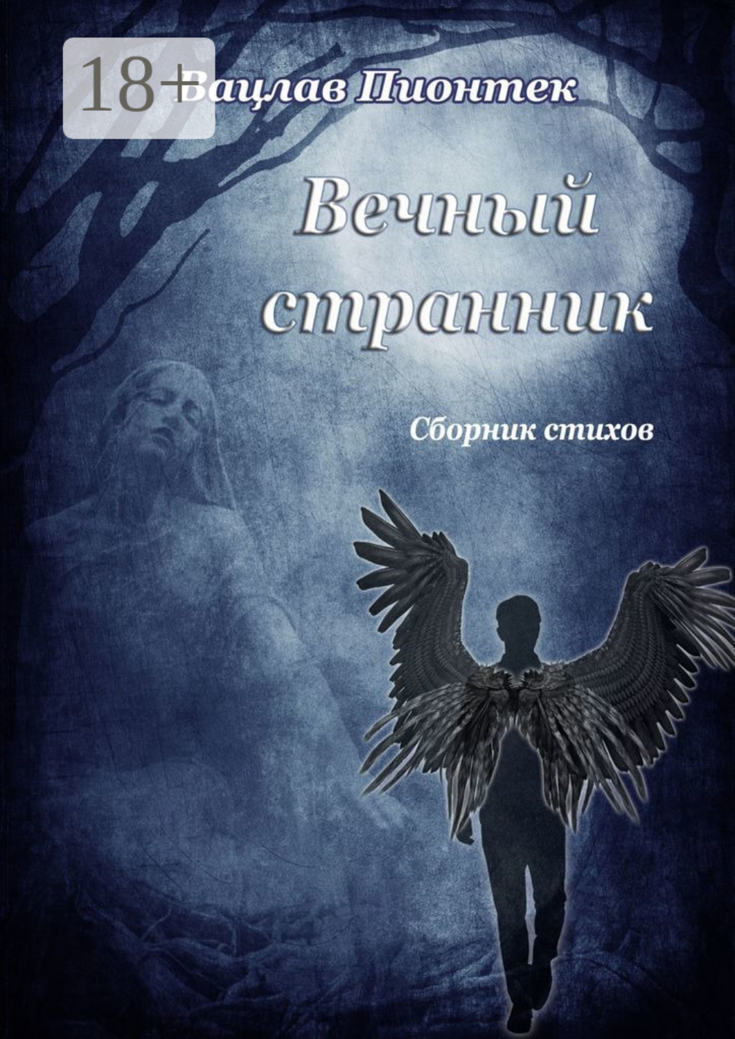Обложка книги «Вечный странник. Сборник стихов»