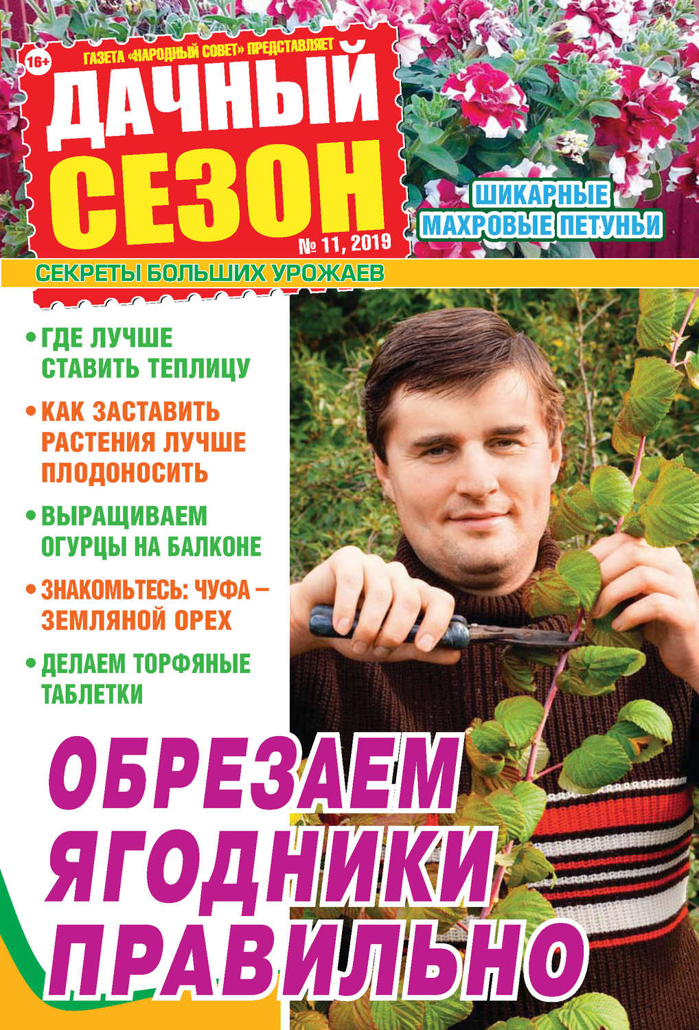 Обложка книги «Дачный сезон №11/2019»
