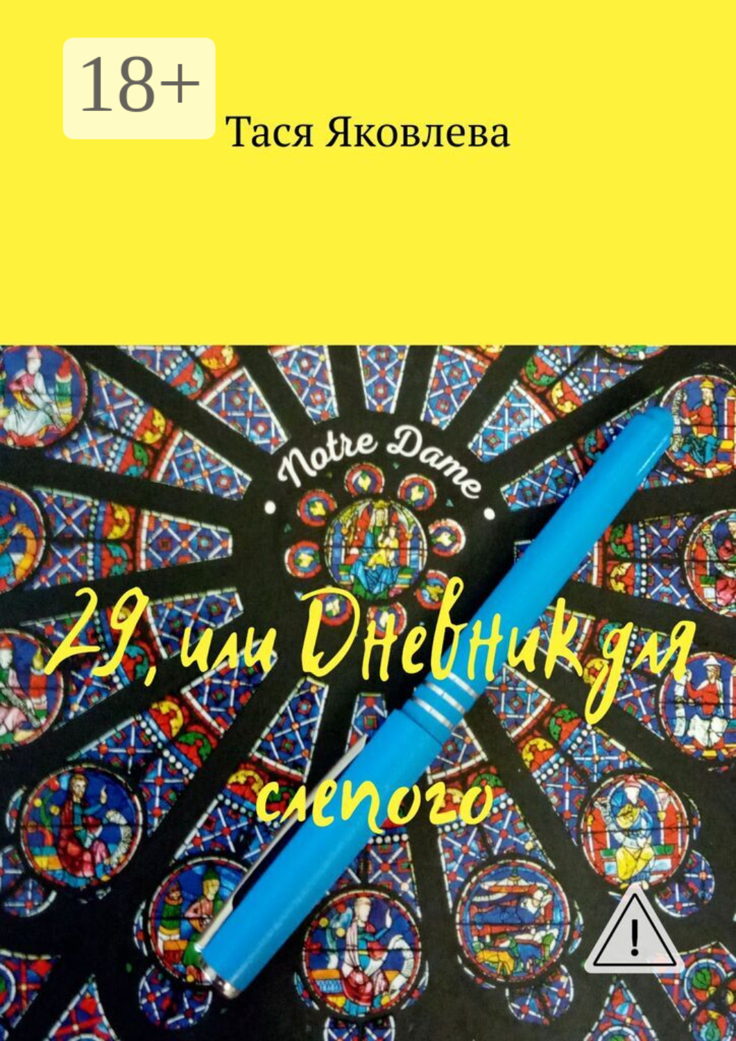 Обложка книги «29, или Дневник для слепого»