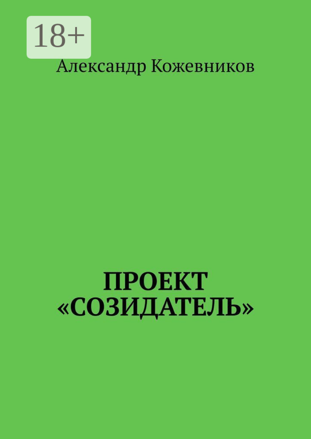 Обложка книги «Проект «Созидатель»»