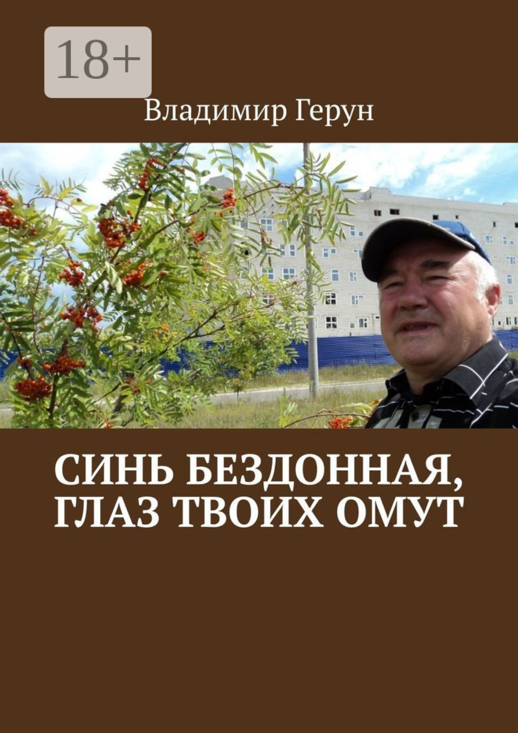 Обложка книги «Синь бездонная, глаз твоих омут»
